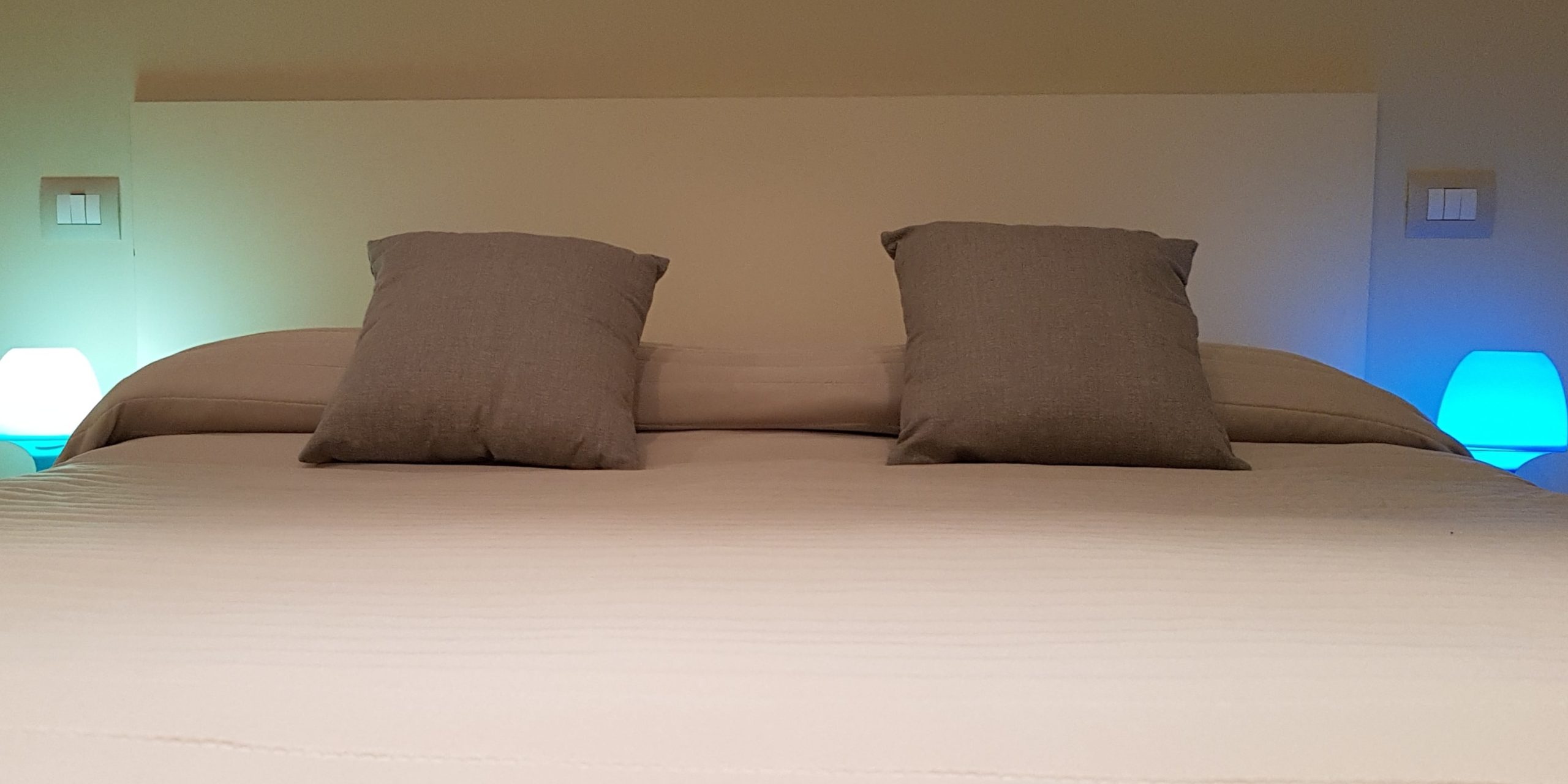 monolocale-vista-giardino monolocale-vista-giardino