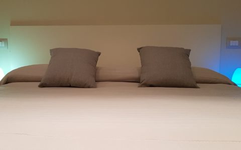 monolocale-vista-giardino