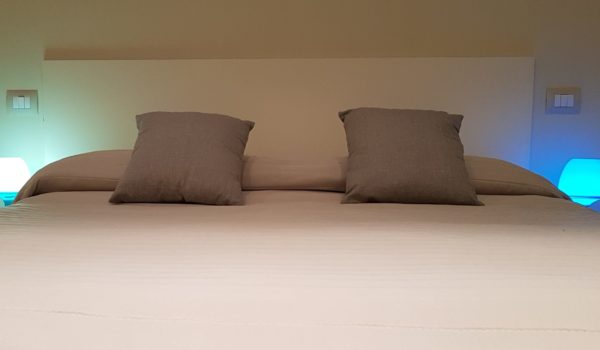 monolocale-vista-giardino